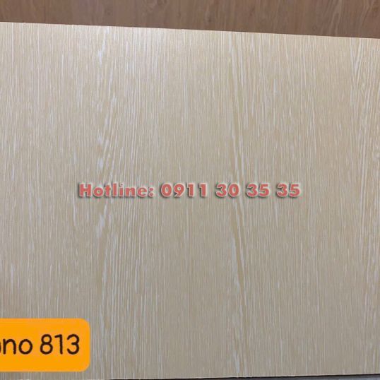 Tấm Ốp Nano | M&agrave;u 813